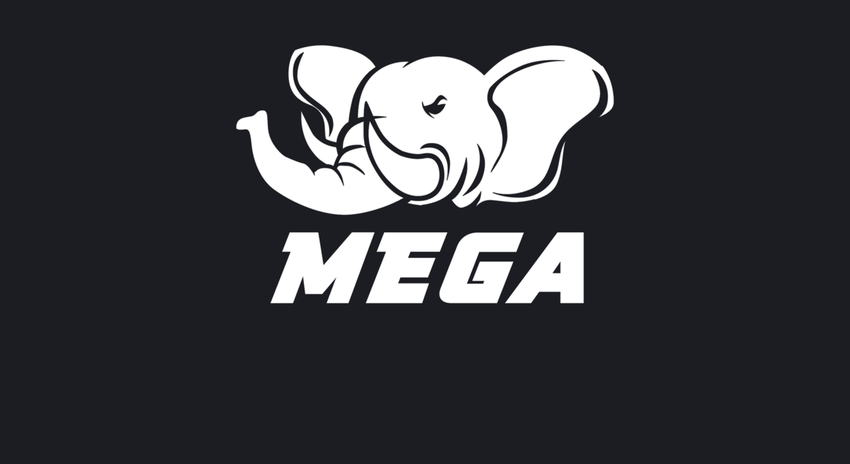MEGA esports MEGA esports